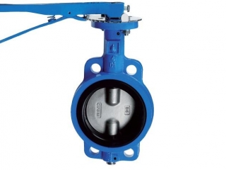 DIN Cast Iron Wafer Butterfly Valve