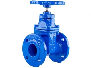 AS2638 Resilient Gate Valve