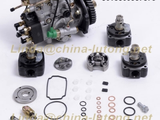 Fuel System VE Pump Parts 096400-0143 Head Rotor For Toyota / ISUZU 4/9R
