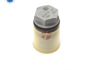 Common rail pressure limiting valve 1 110 010 035 pressure-limiting valve For IVECO 